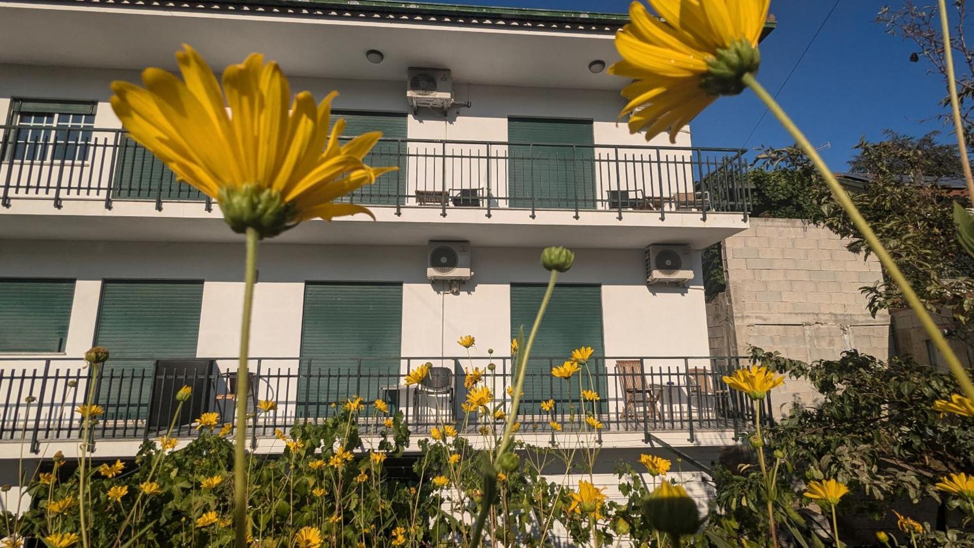 Casa Do Olival Hotel Peso da Régua Exterior photo